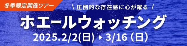 ビジネス～観光‼　格安宿泊宿のご案内