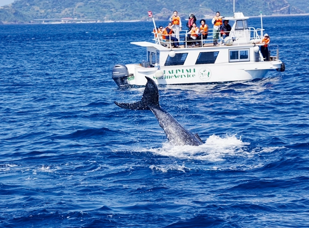 ホエールウォッチング